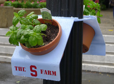 Vertical Farms (video)